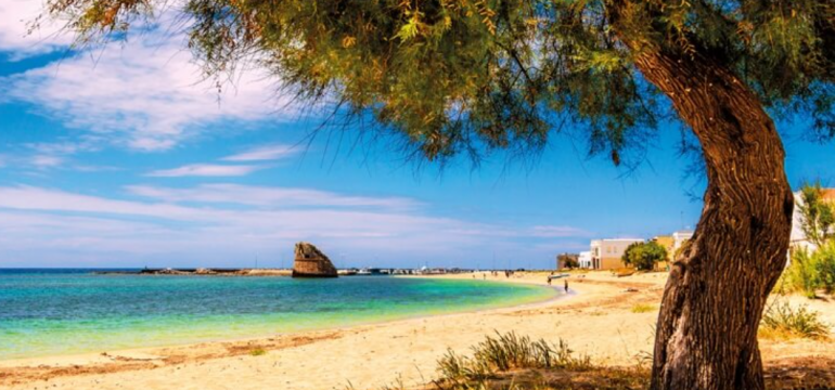 Polish_20210525_183047691