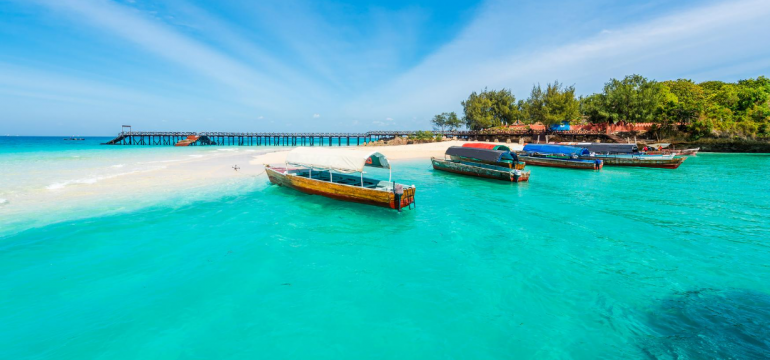 Polish_20210313_170214940