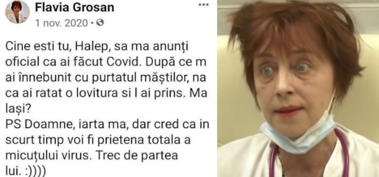 flavia grosan halep