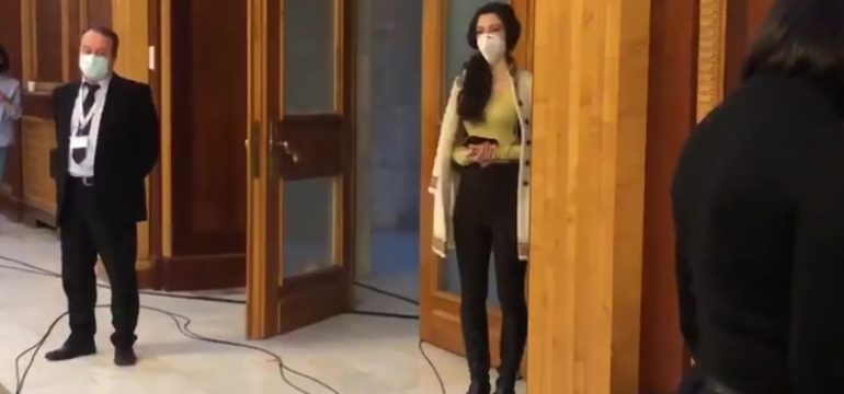 iubita voiculescu conferinta