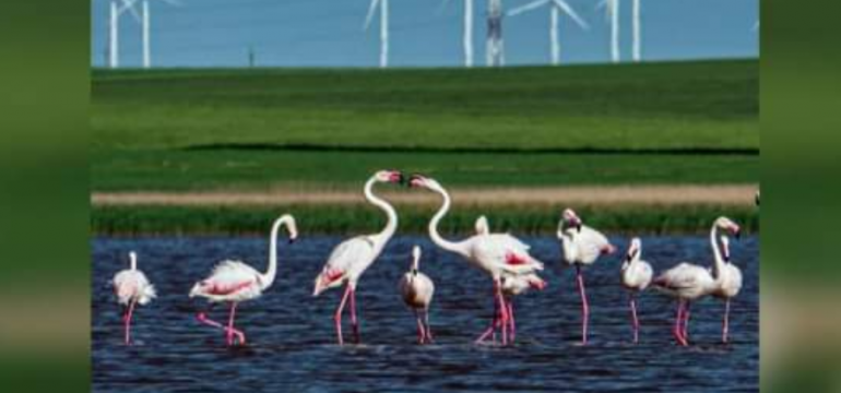 Polish_20210531_233841448