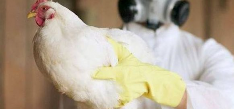 Polish_20210601_111128904