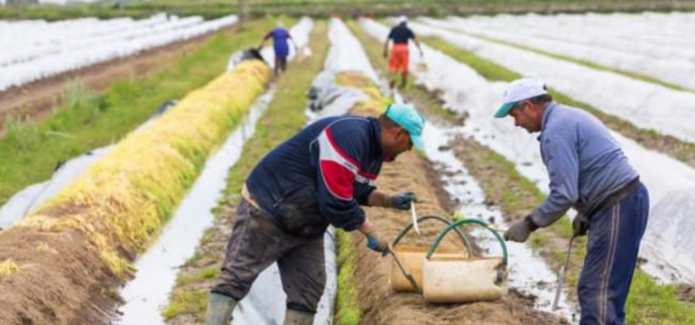 Polish_20210601_113804832