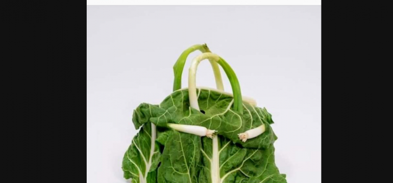 Polish_20210601_193044963