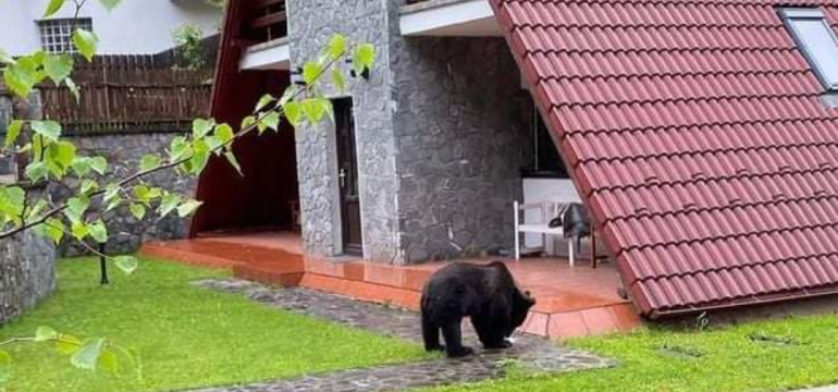 Polish_20210602_000045611