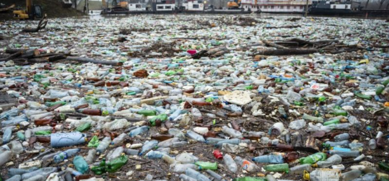 Polish_20210602_153724221