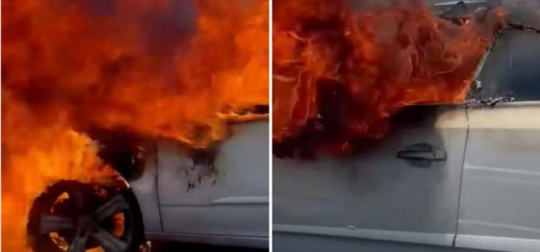 Polish_20210605_172924935