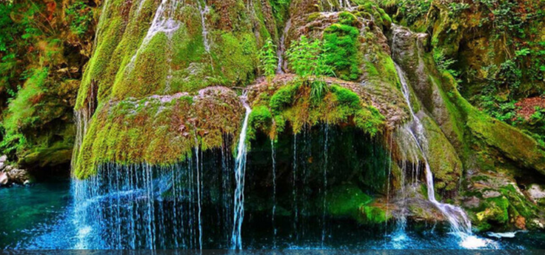 Polish_20210607_235218169