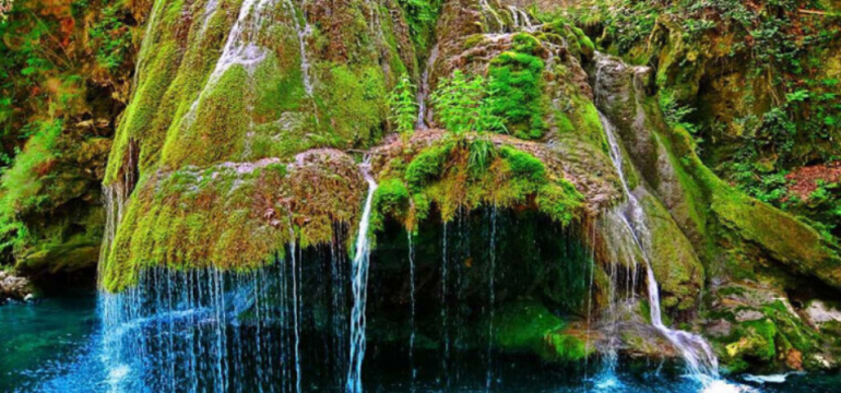 Polish_20210608_002224808