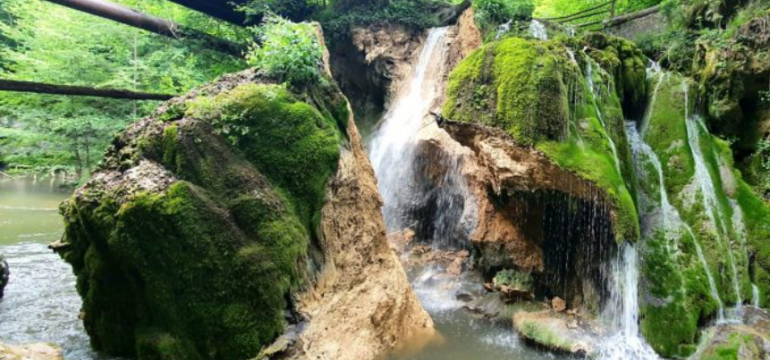 Polish_20210608_012841395