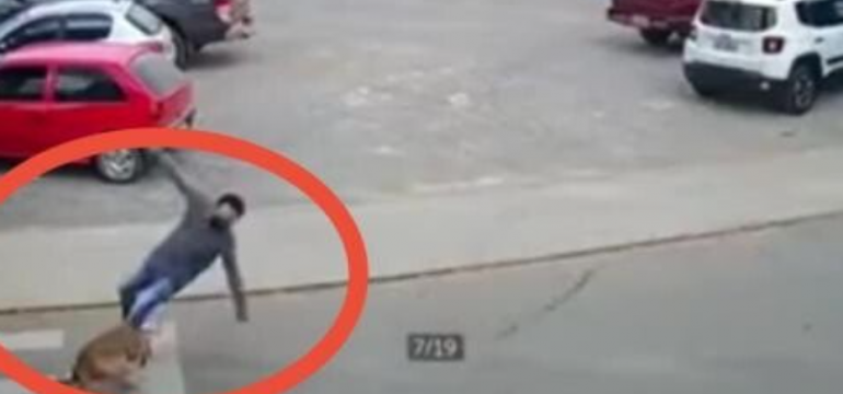 Polish_20210610_011926252