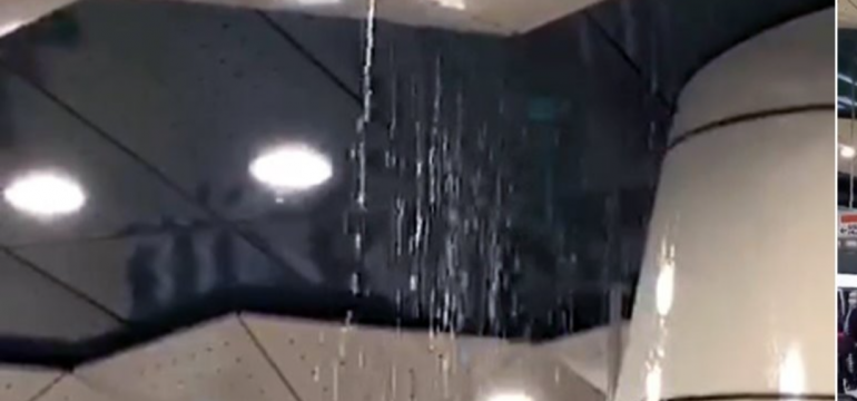 Polish_20210611_112409312