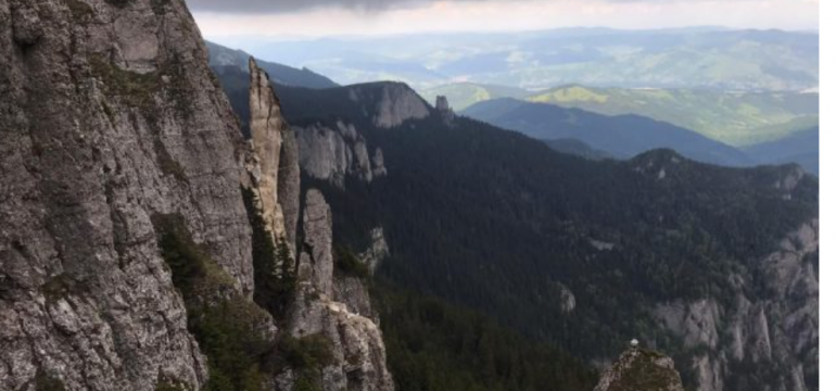 Polish_20210614_204515150