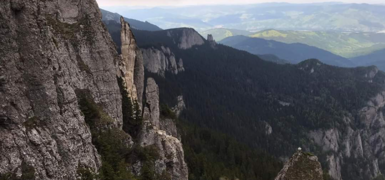 Polish_20210615_221159579