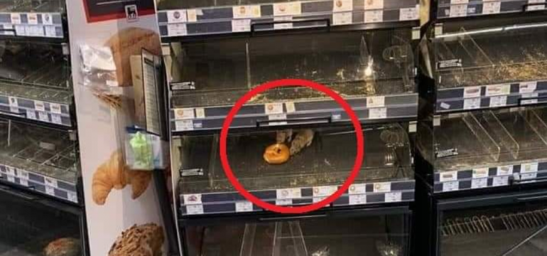 Polish_20210616_195106257