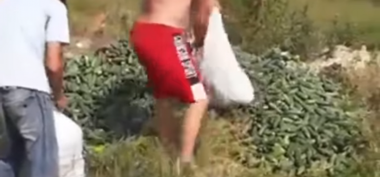 Polish_20210630_112424891