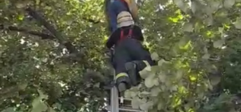 Polish_20210630_194008768