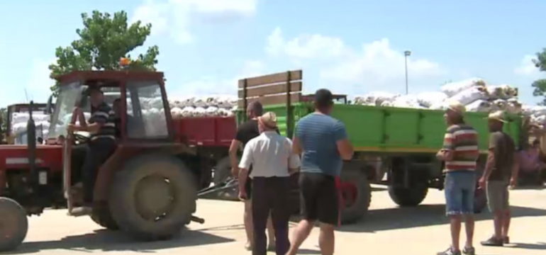 Polish_20210701_102540575