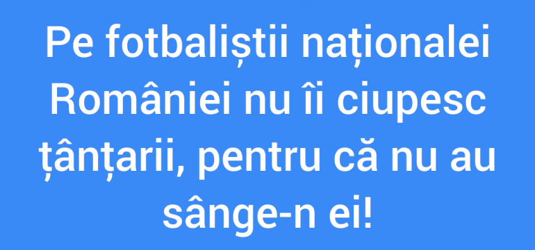 Polish_20210711_005914959