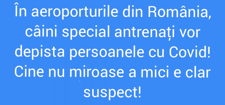 Polish_20210718_124823508