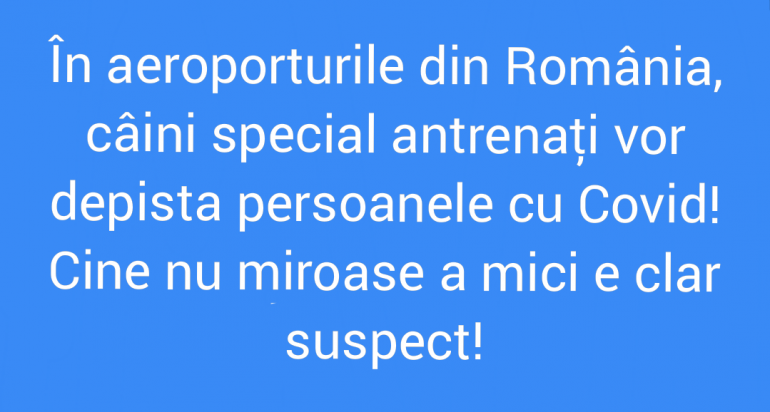 Polish_20210718_124823508