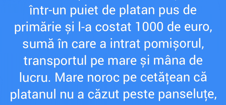 Polish_20210719_211049502