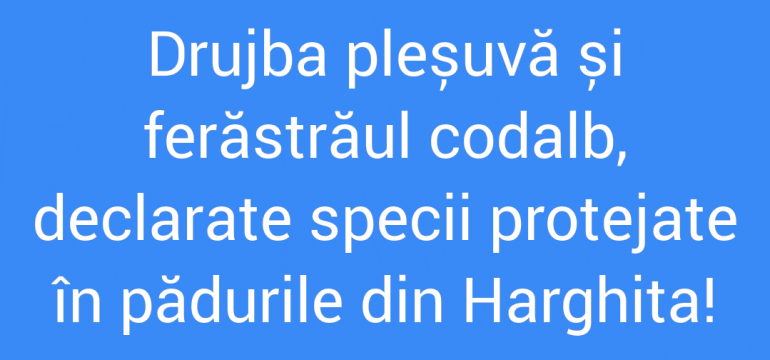 Polish_20210721_164345262