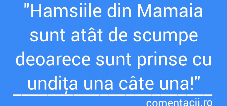 Polish_20210723_010159906