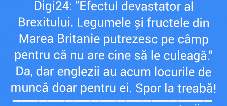 Polish_20210724_102316868