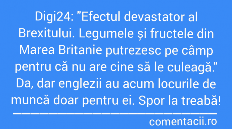 Polish_20210724_102316868