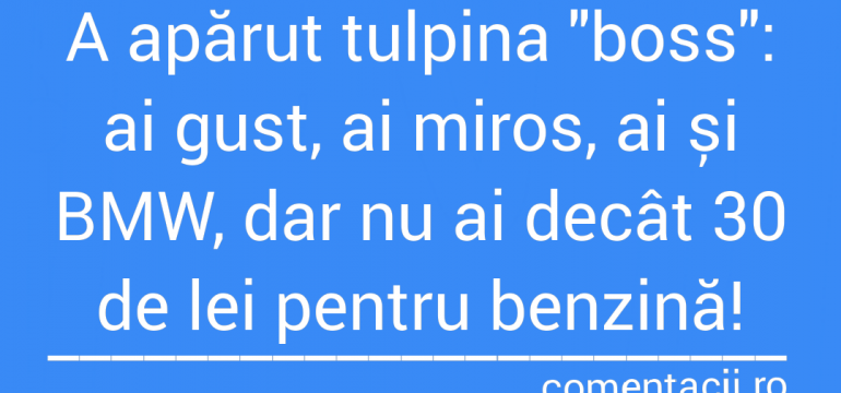 Polish_20210728_173555676