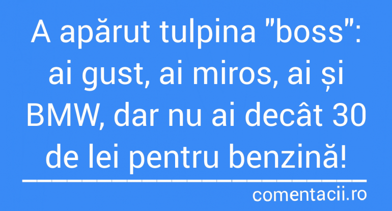 Polish_20210728_173555676