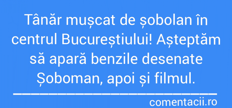 Polish_20210729_005039333