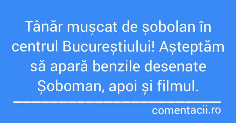 Polish_20210729_005039333