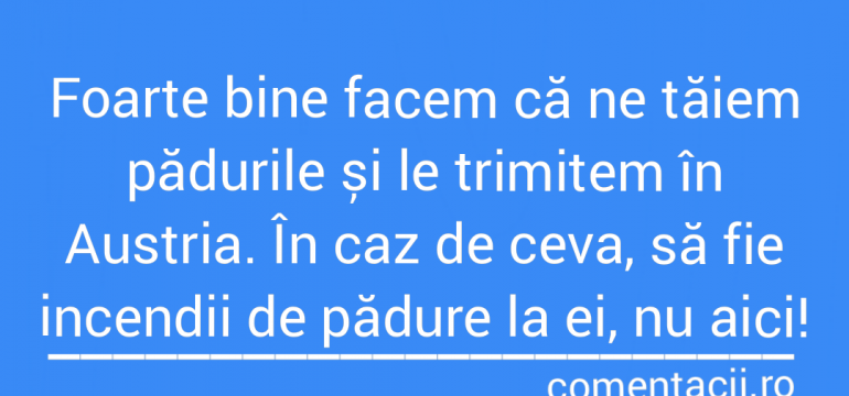 Polish_20210804_151114036