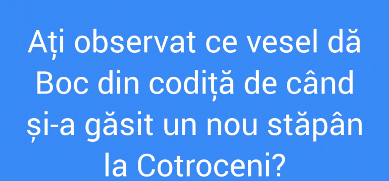 Polish_20210807_134514760