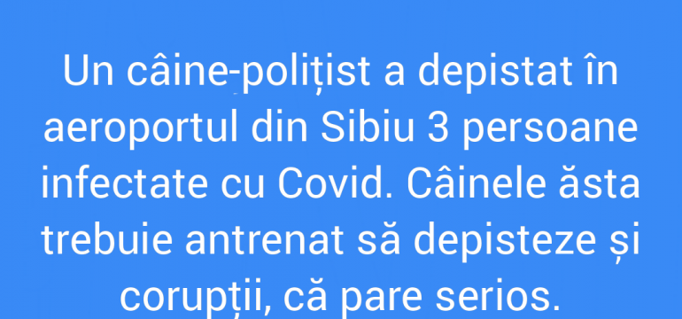 Polish_20210807_150243445