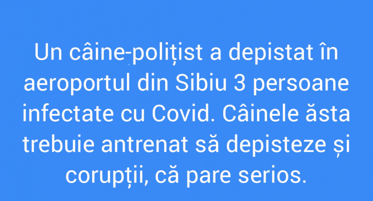 Polish_20210807_150243445