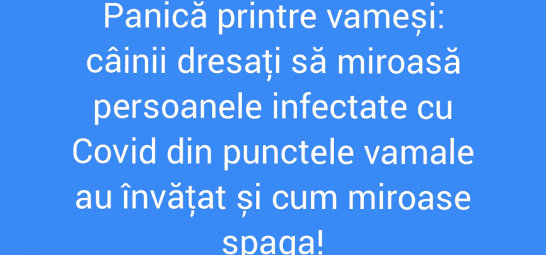 Polish_20210807_152147141