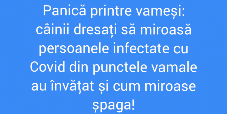 Polish_20210807_152147141