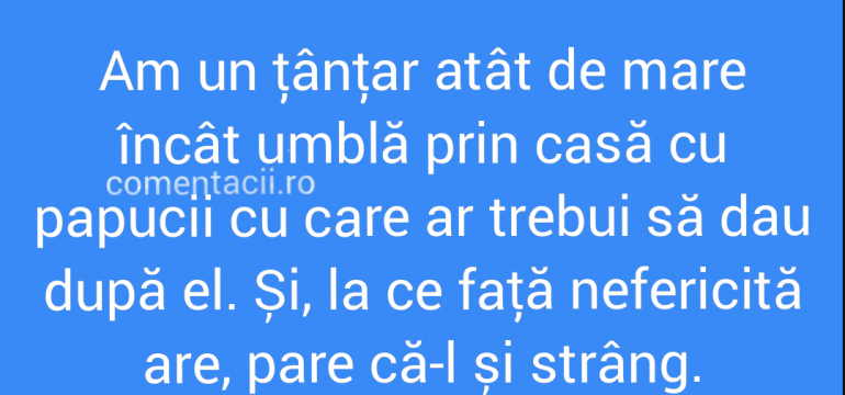 Polish_20210810_204918739