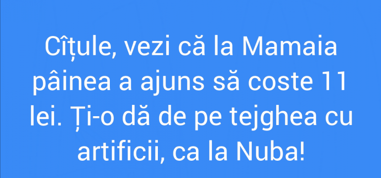 Polish_20210813_030538420