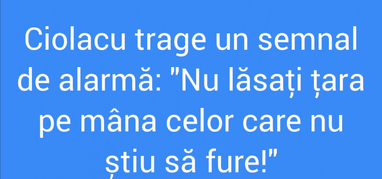 Polish_20210813_175718210