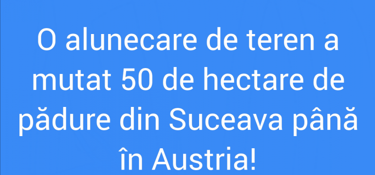 Polish_20210821_194430277