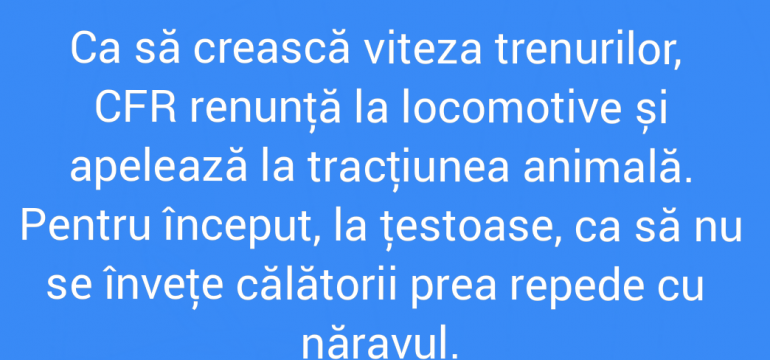 Polish_20210825_013808186