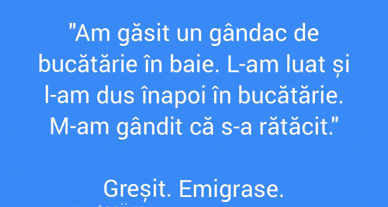 Polish_20210826_204717155