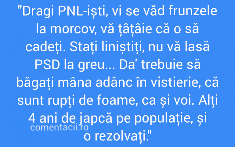 Polish_20210904_113302560