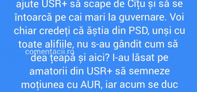 Polish_20210905_202054190