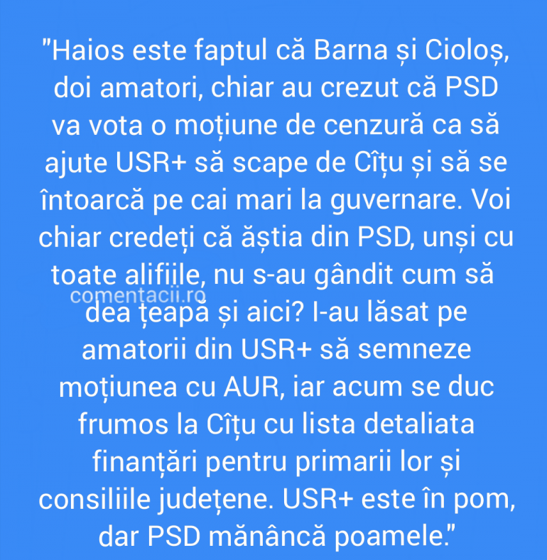 Polish_20210905_202054190