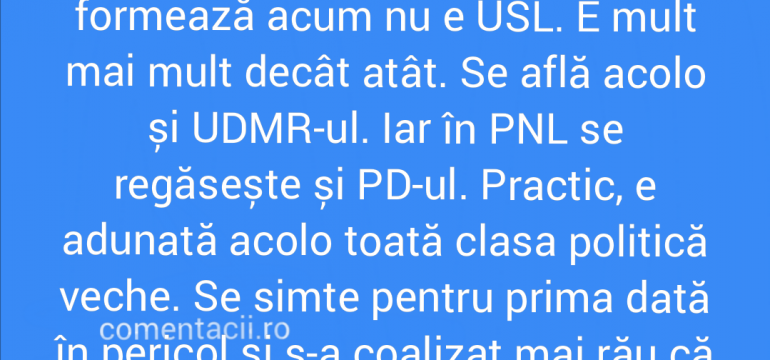 Polish_20210909_210001086